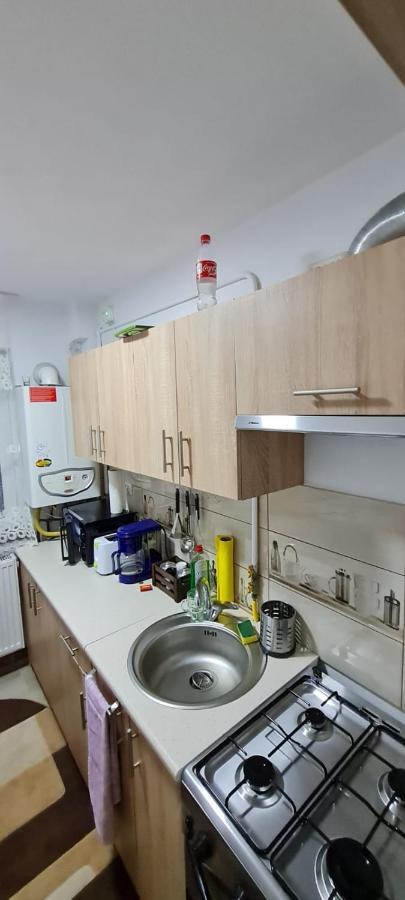 Apartament Bianca Campulung Moldovenesc Exterior photo