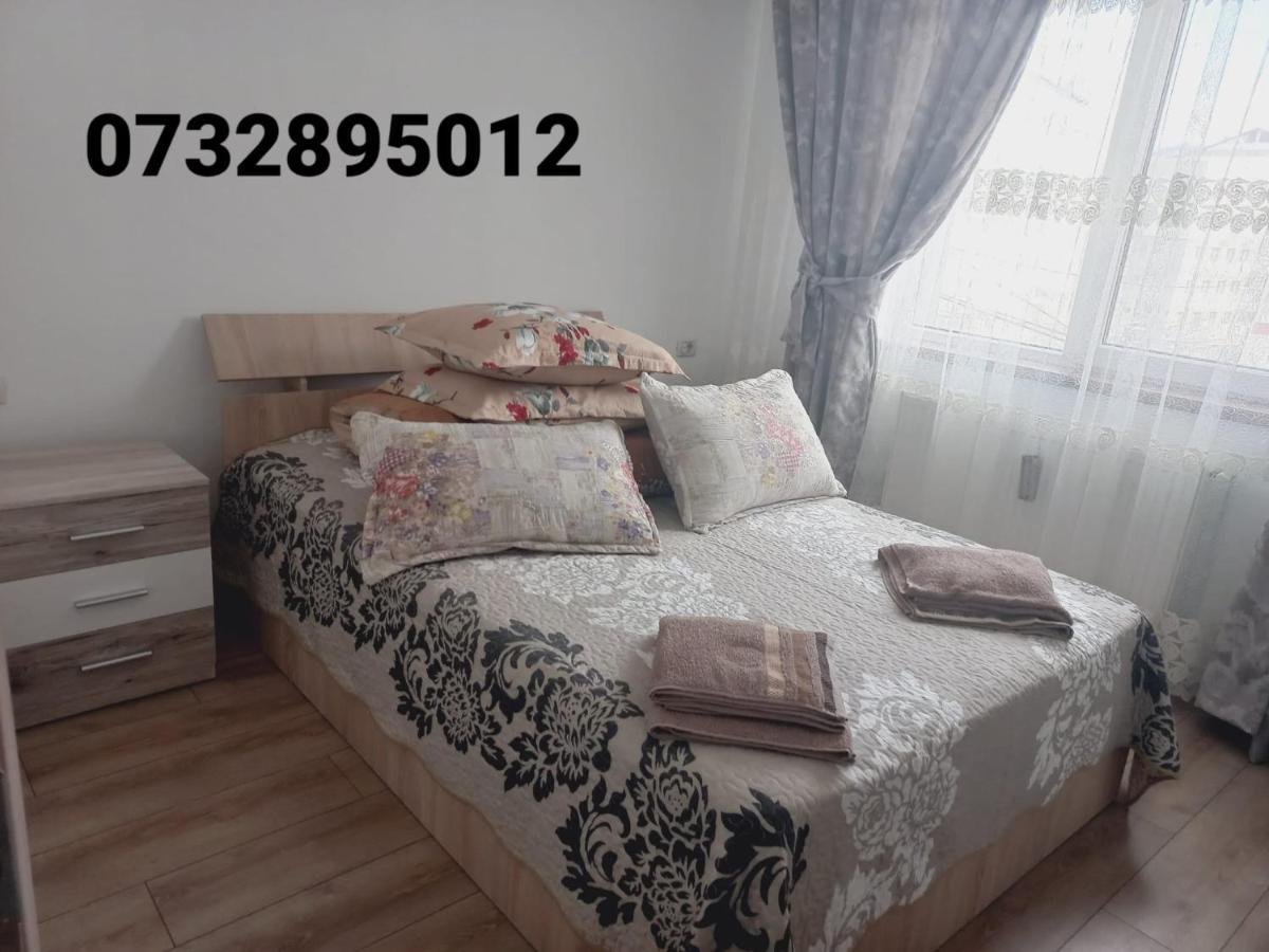 Apartament Bianca Campulung Moldovenesc Exterior photo